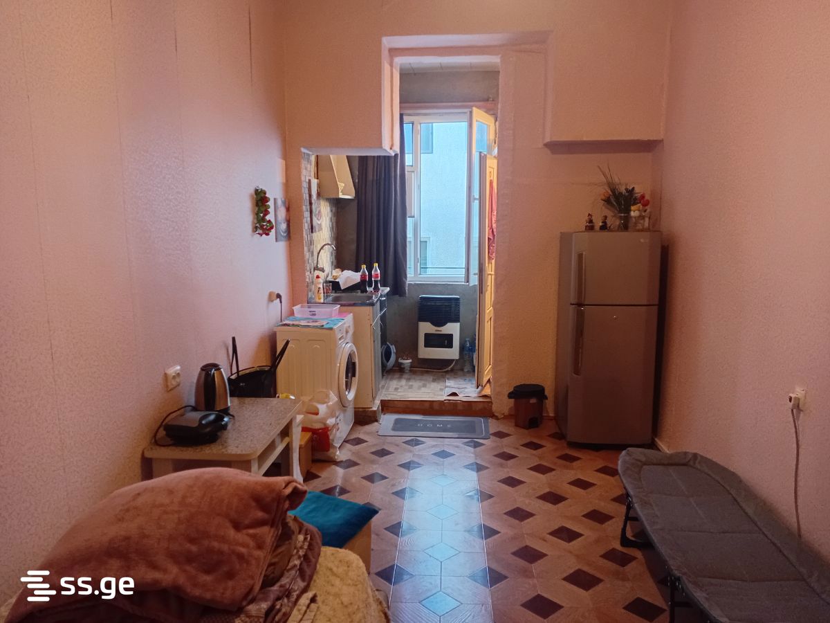 vaja pshavela I chikhi 1 - 1 rooms