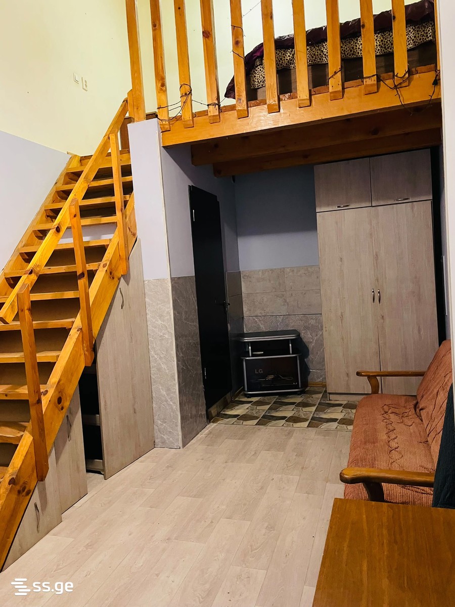 Bendukidze University Campus 046 - 2 rooms