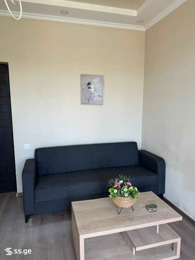 a.wereTlis avenue - 2 rooms