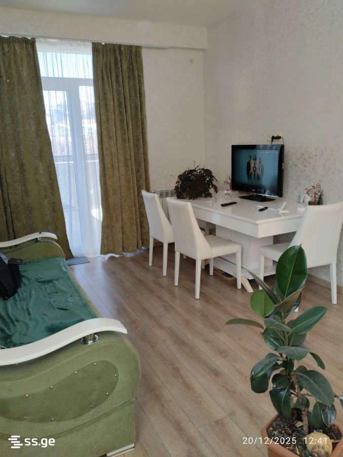 Mirian Mephe st. 109 - 2 rooms