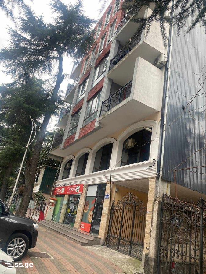 Vazha-Pshavela st. 50 - 2 rooms