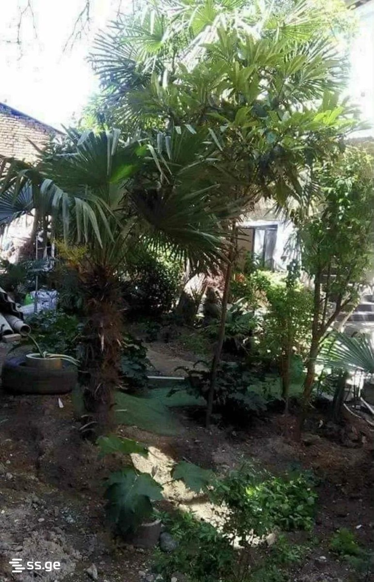 toidze st. - 2 rooms