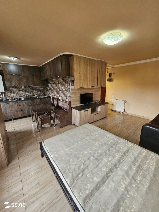 vaja-pshavela avenue - 1 rooms