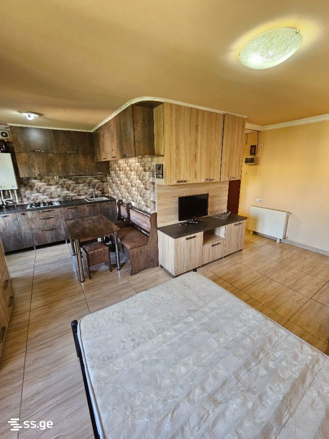vaja-pshavela avenue - 1 rooms