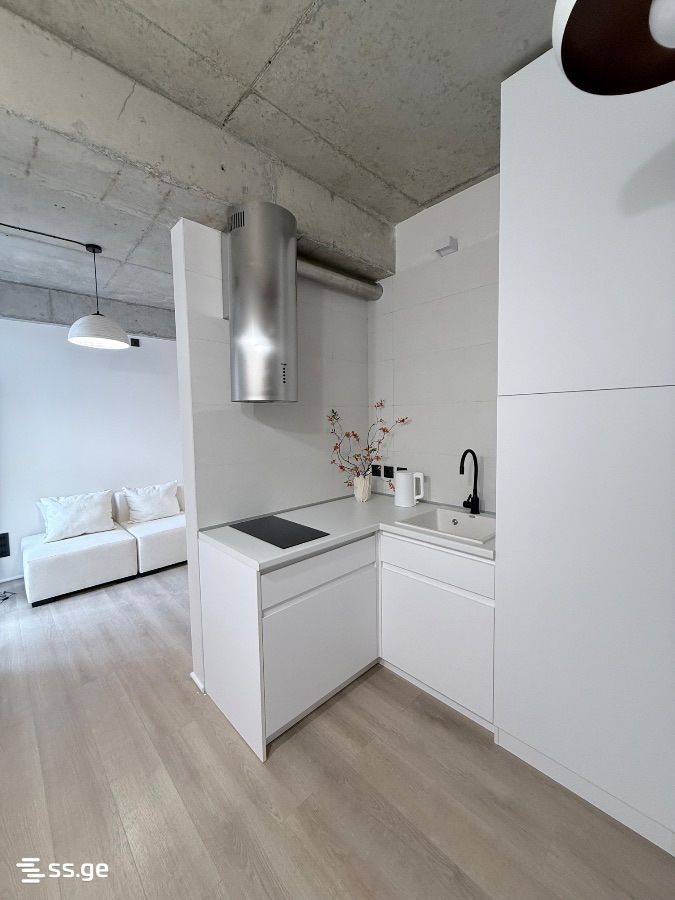agmashenebeli alley 51 - 1 rooms
