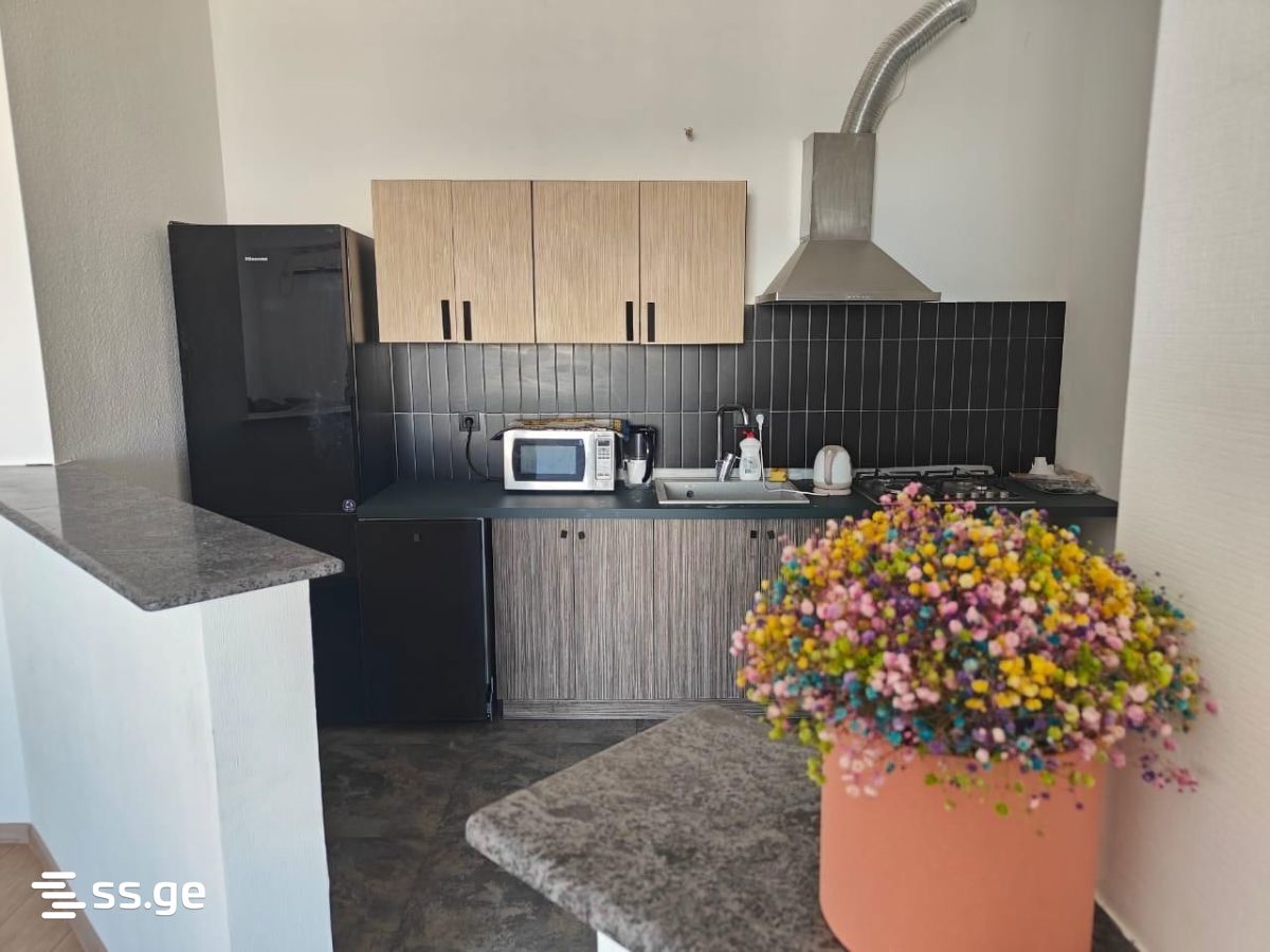 Panaskerteli-Tsitsishvili st. - 2 rooms