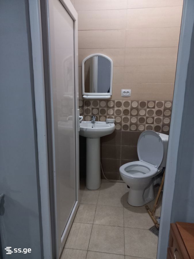 Ts. Dadiani st. (nadzaladevi) 125,123 - 2 rooms