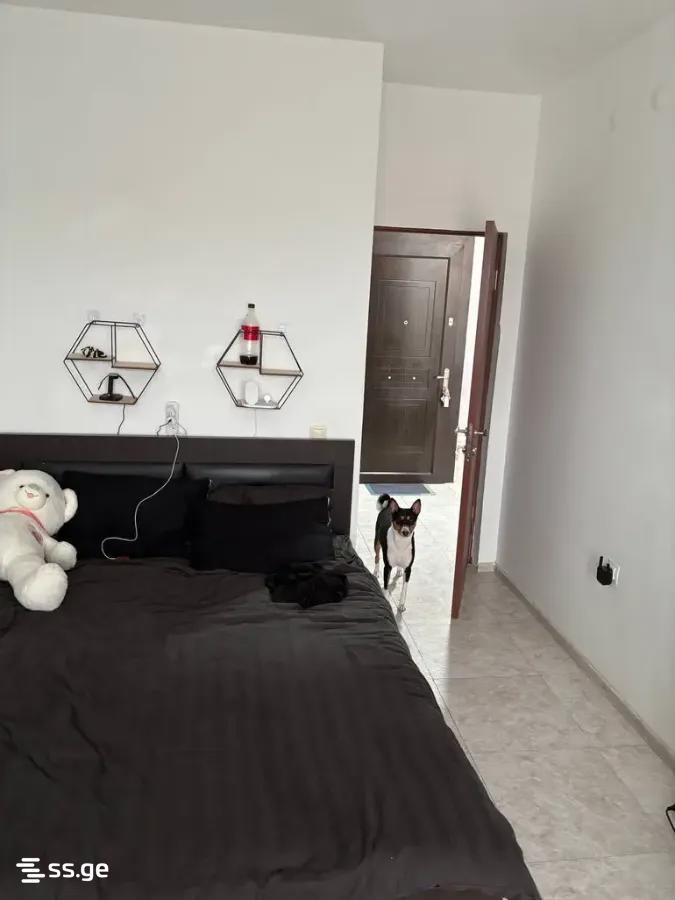 Beri Gabriel Salosi Ave. - 2 rooms