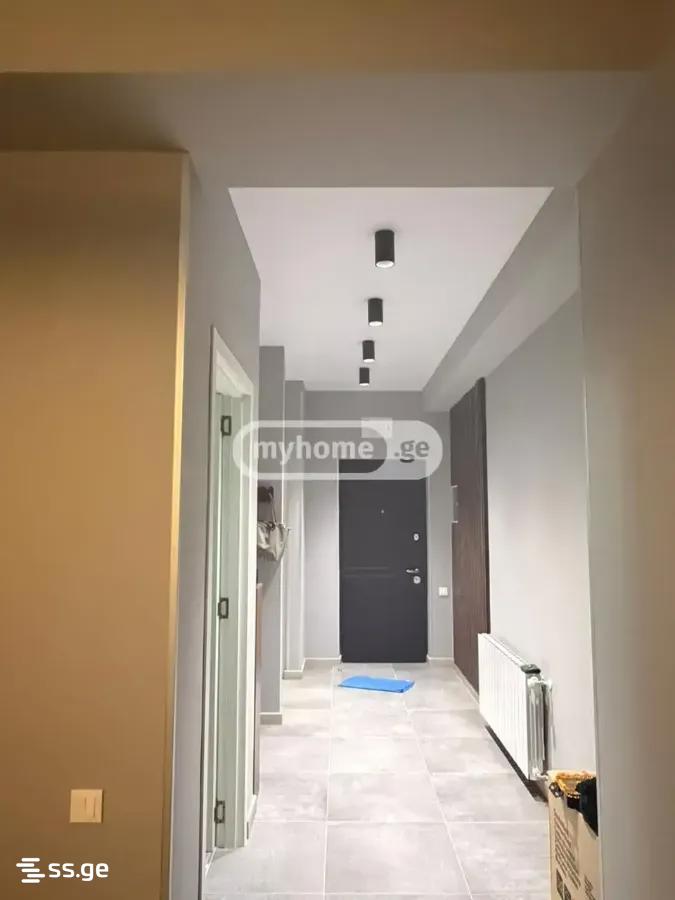 Olive st. - 3 rooms