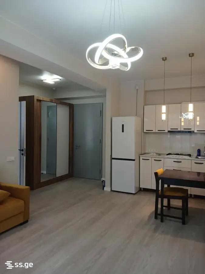 Ts. Dadiani st. (nadzaladevi) - 2 rooms