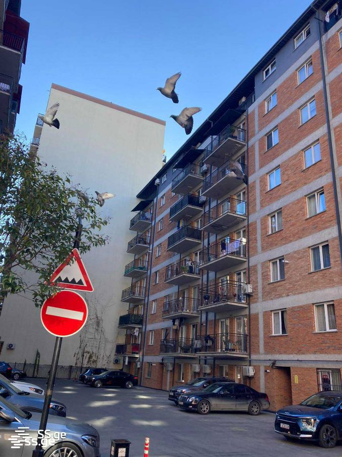 chkondideli st. - 3 rooms