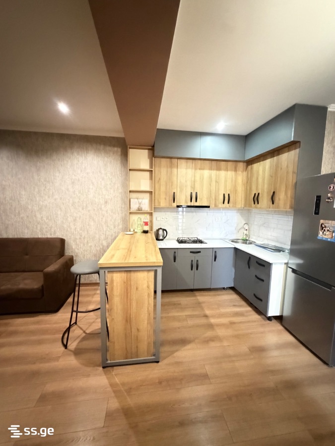17 Shindiseli gmiri st. - 2 rooms