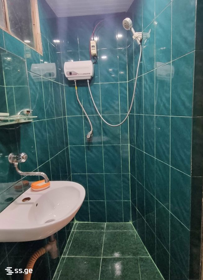 Ts. Dadiani st. (nadzaladevi) 113 - 1 rooms
