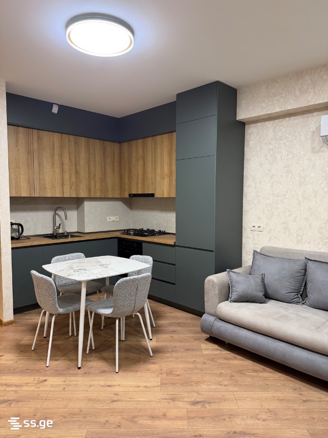 Zaldastanishvili st. 7 - 2 rooms
