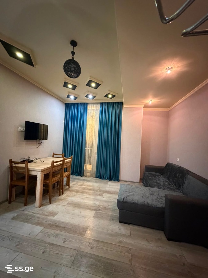 Ts. Dadiani st. (nadzaladevi) 263 - 2 rooms