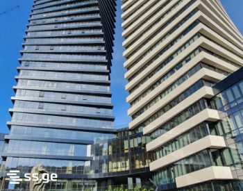 i. chavchavadze avenue - 4 rooms
