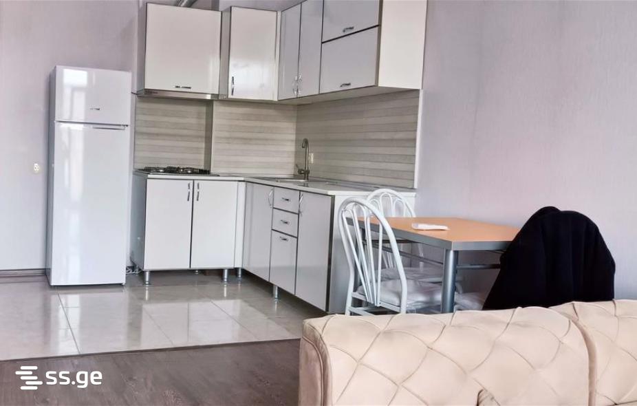 Ts. Dadiani st. (nadzaladevi) 137 - 2 rooms