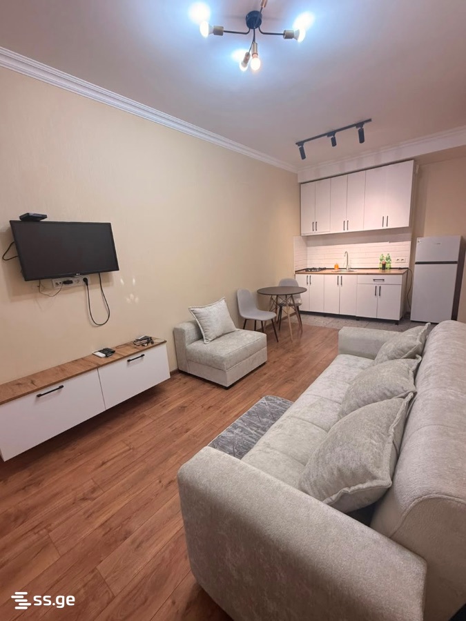 mirckhulava st. - 2 rooms