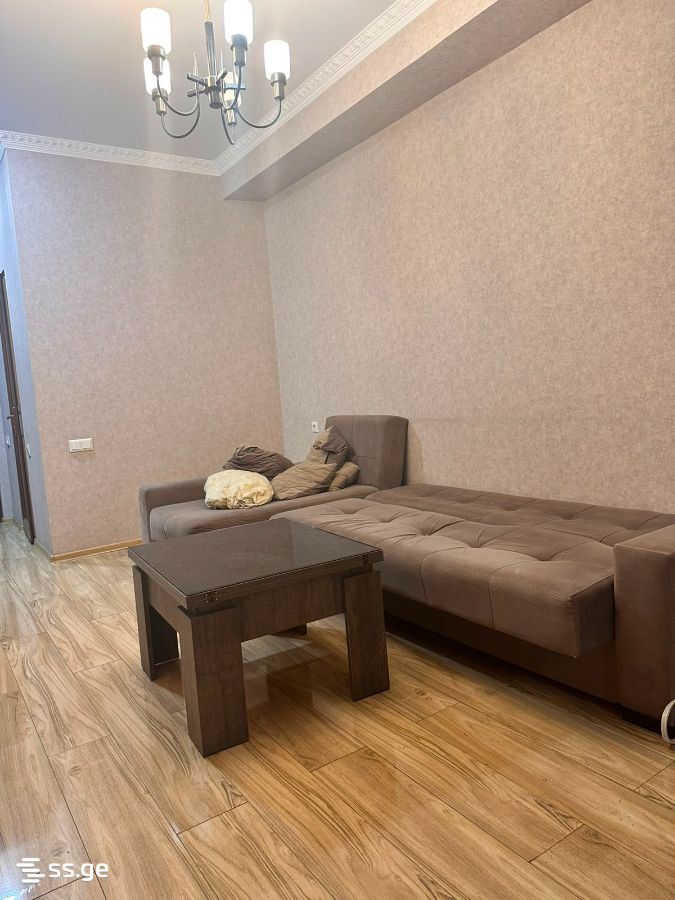 Ts. Dadiani st. (nadzaladevi) - 2 rooms
