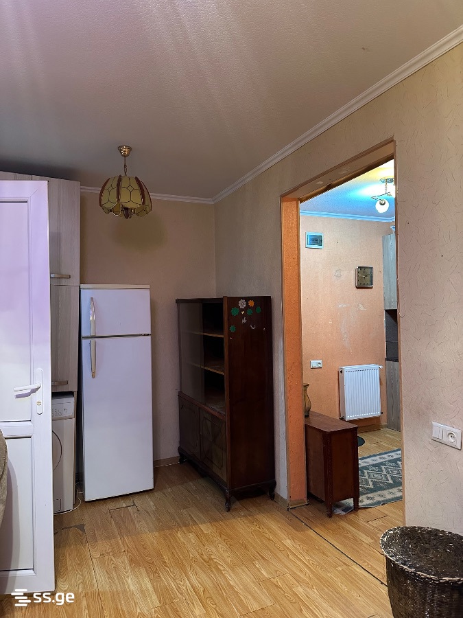 Bendukidze University Campus 19 - 2 rooms