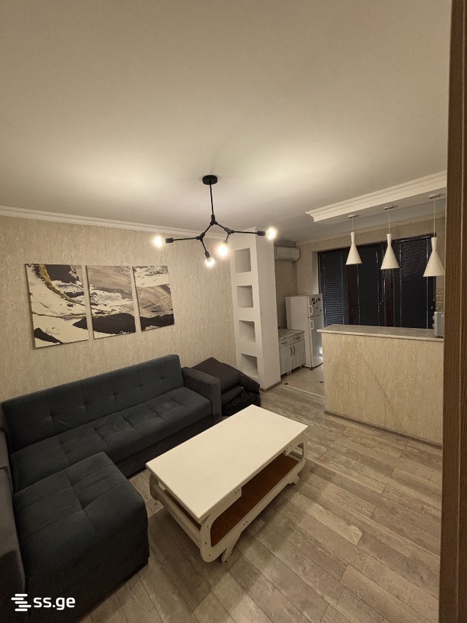 s. cincadze st 54 - 2 rooms