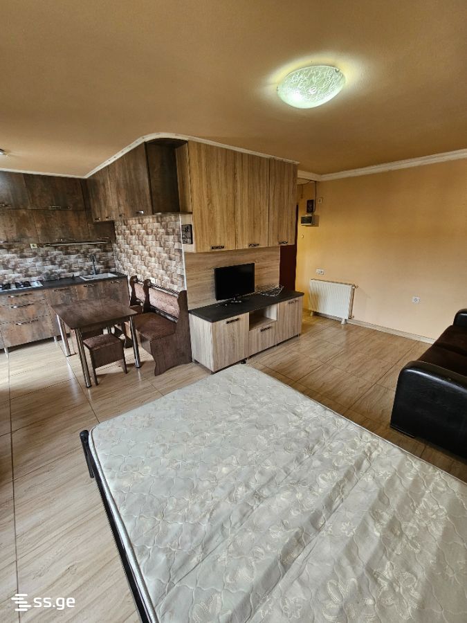 vaja-pshavela avenue - 1 rooms