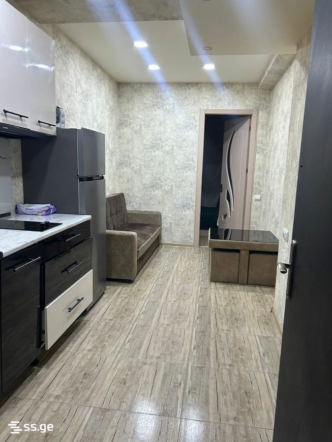 guramishvili ave (Sanzona) - 2 rooms