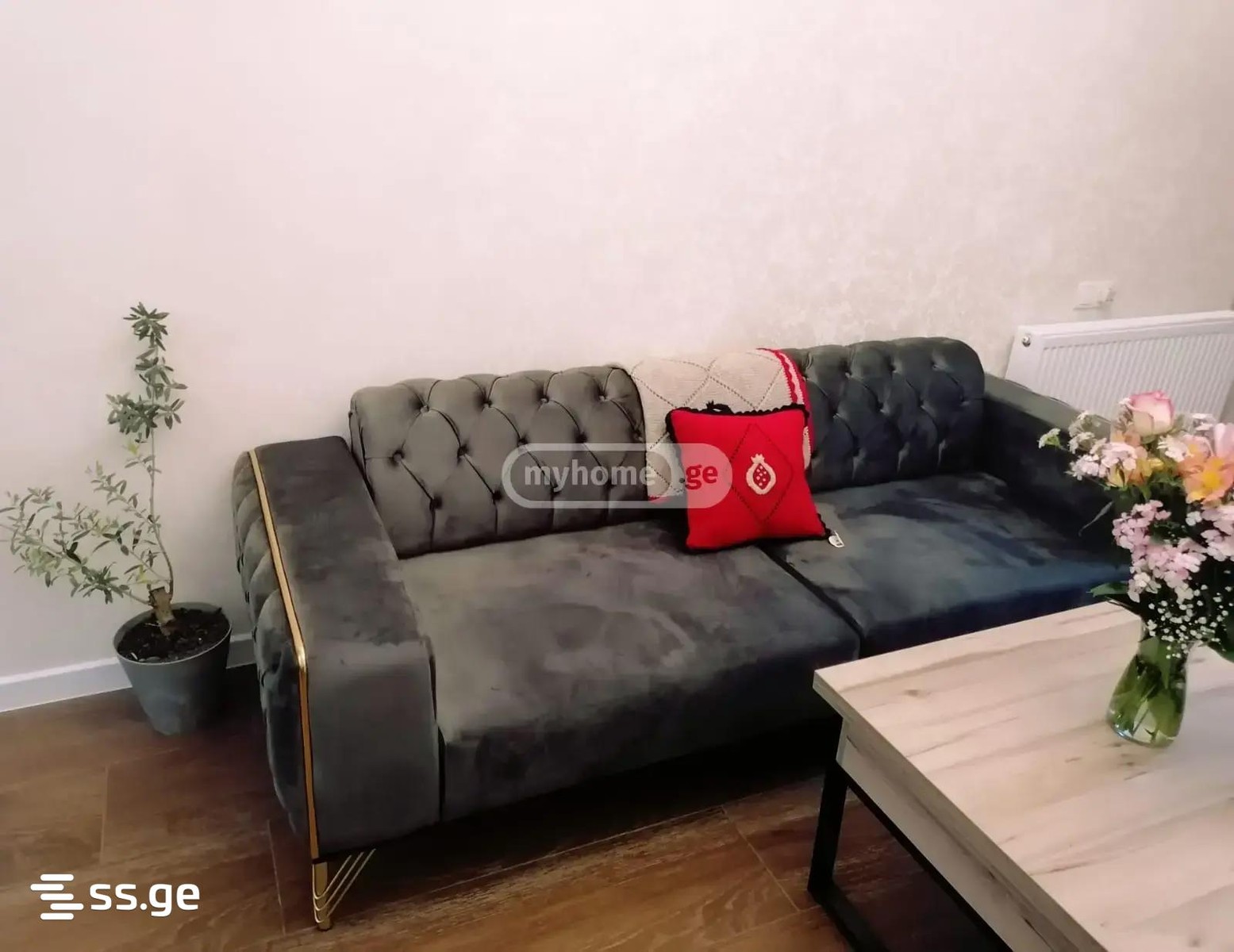 mirckhulava st. - 2 rooms