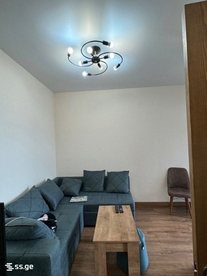 Haidar Abashidze Street 65 - 2 rooms