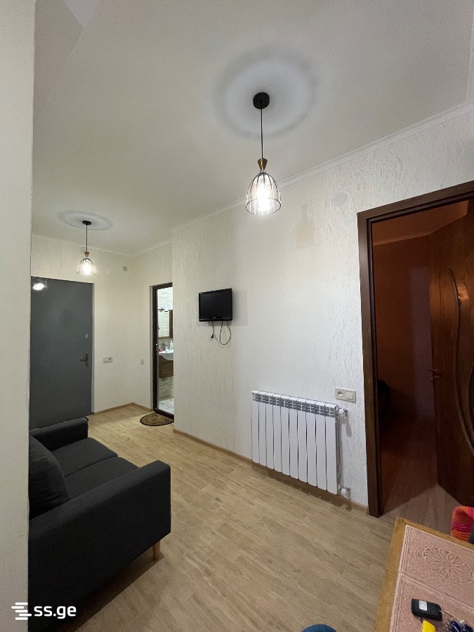 Ts. Dadiani st. (nadzaladevi) 59 - 1 rooms