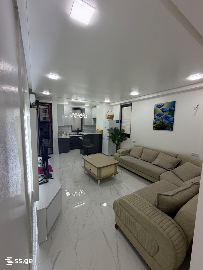 parnavaz mepe avenue 24 - 2 rooms