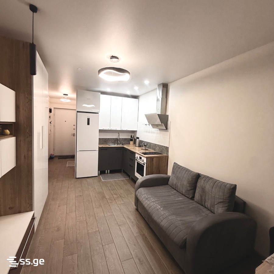 Sh. Inasaridze St. 323 - 1 rooms