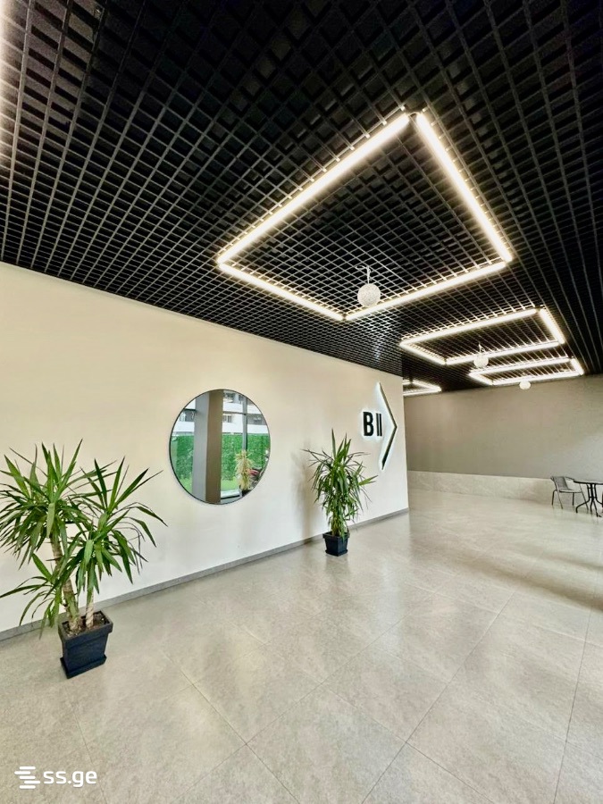 parnavaz mepe avenue 1 - 2 rooms