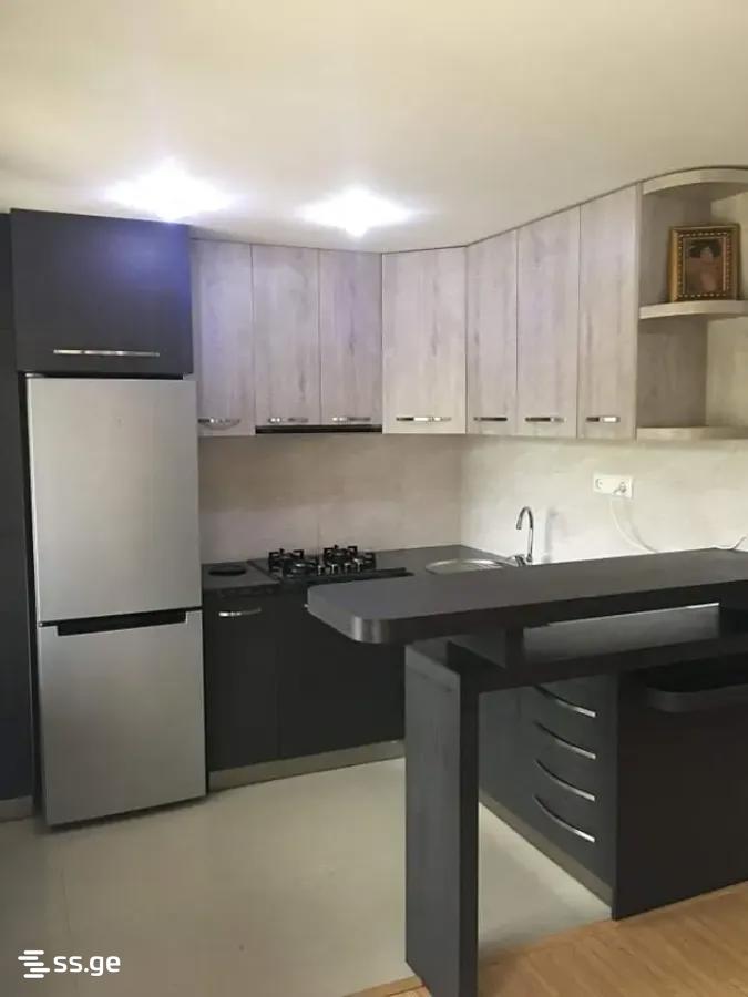 Guramishvili ave (Nadzaladevi) 196 - 2 rooms