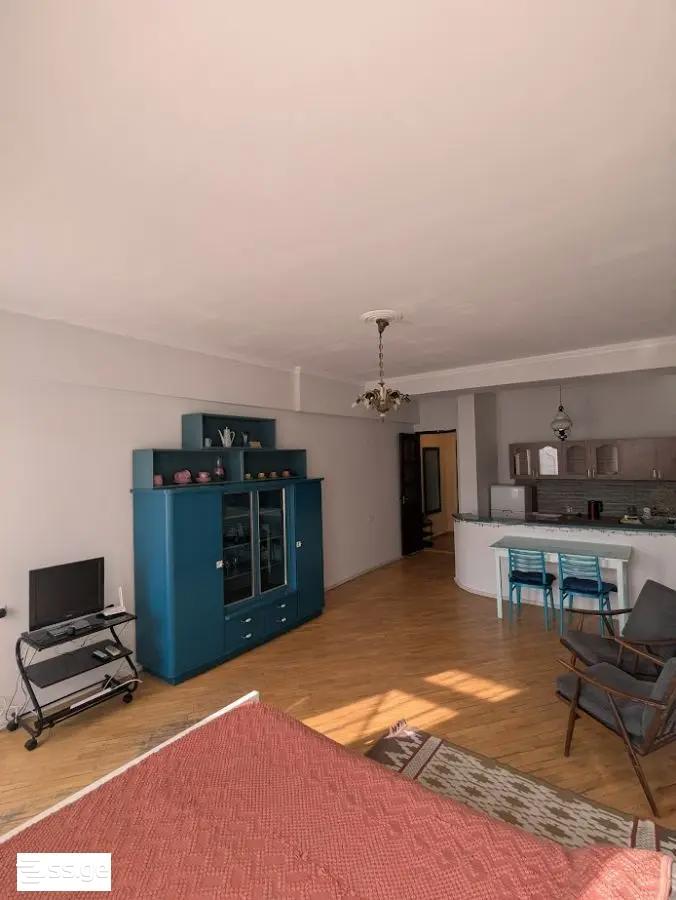 vaja-pshavela avenue 0 - 1 rooms