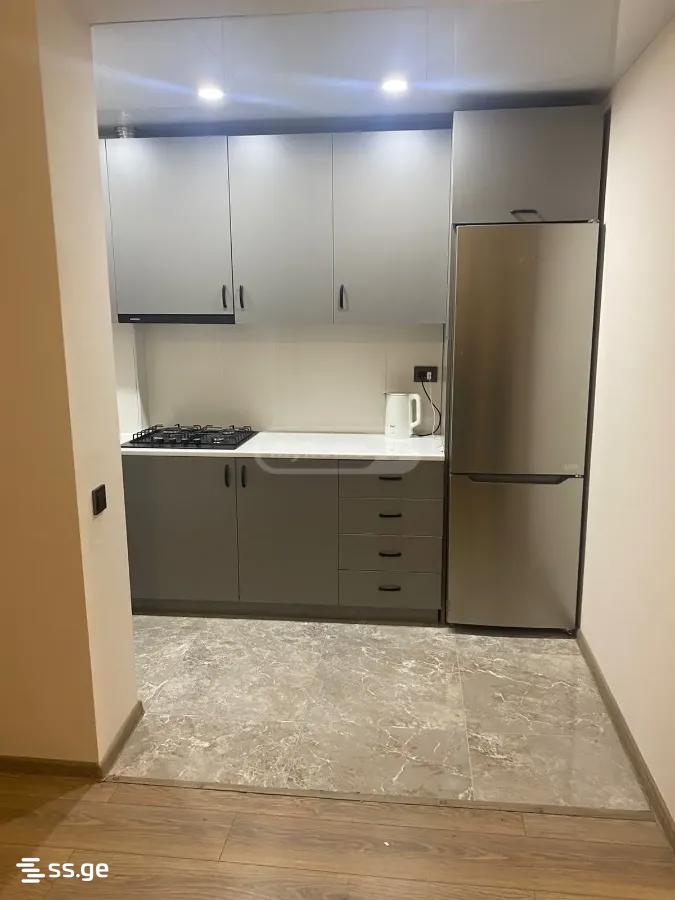 Ts. Dadiani st. (nadzaladevi) 156 - 2 rooms