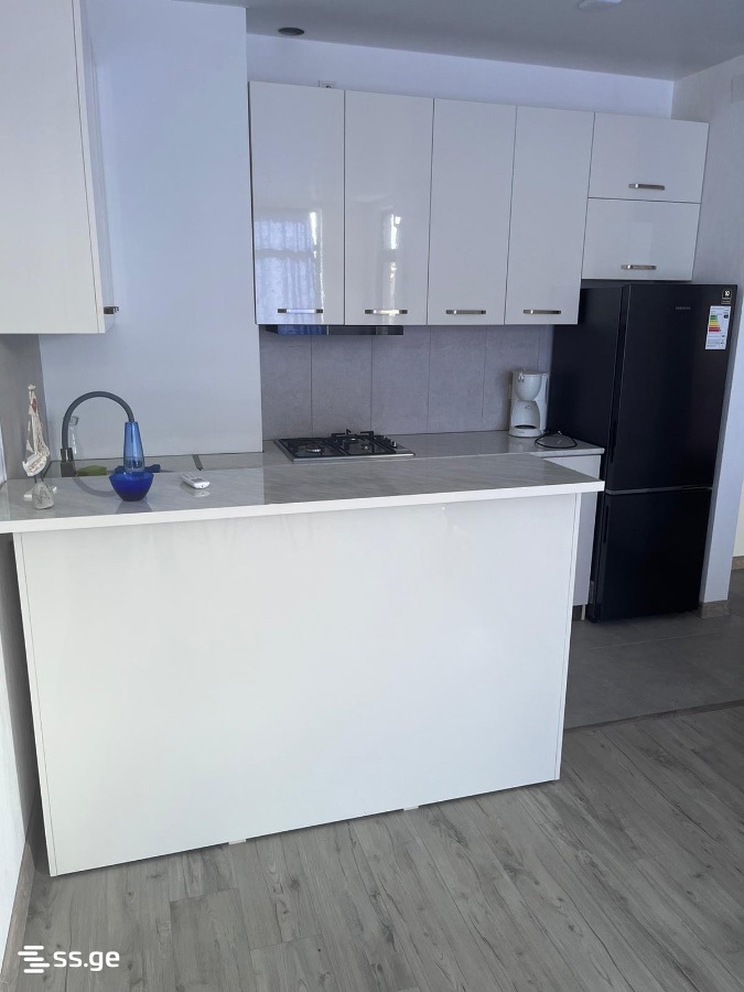 Haidar Abashidze Street 65 - 2 rooms