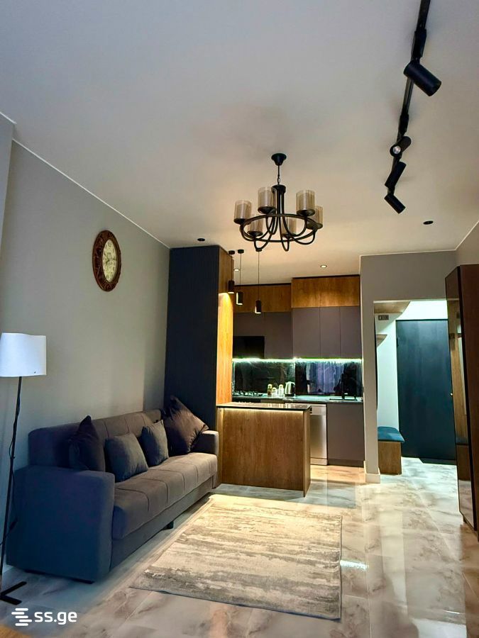 Haidar Abashidze Street 65 - 2 rooms