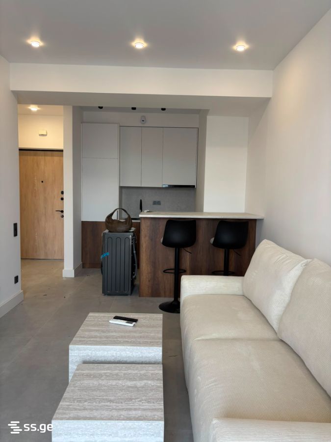 agmashenebeli alley 194 - 2 rooms
