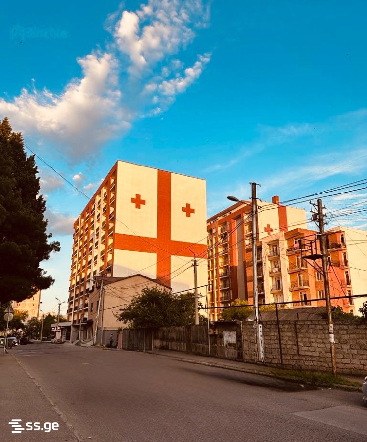 dzmebi orbelianebi st. 55 - 2 rooms