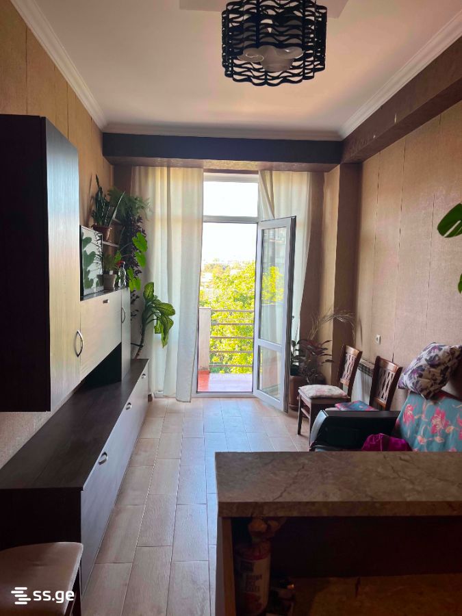 tianeti st. 141 - 2 rooms