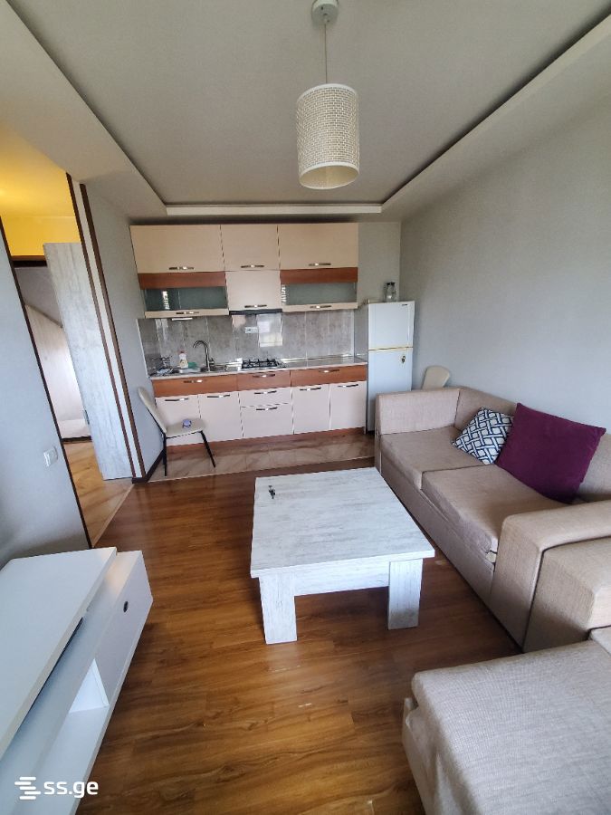 vaja pshavela I chikhi - 2 rooms