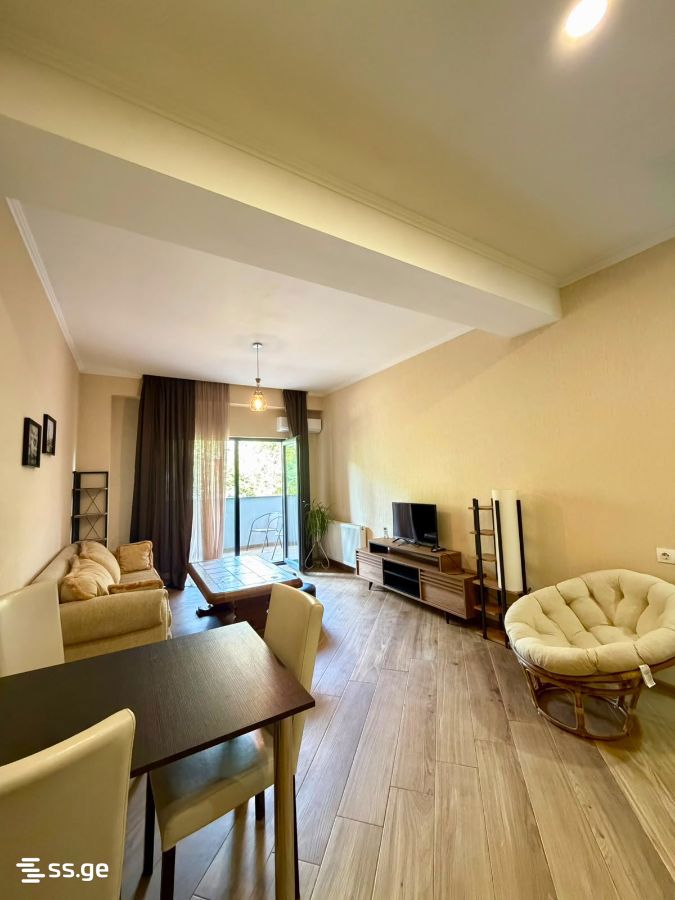 Ts. Dadiani st. (nadzaladevi) - 2 rooms