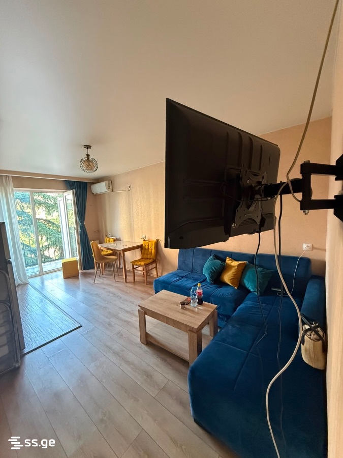 a.wereTlis avenue 12 - 2 rooms