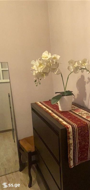 Block III - Digomi massive  6აკორპ - 2 rooms