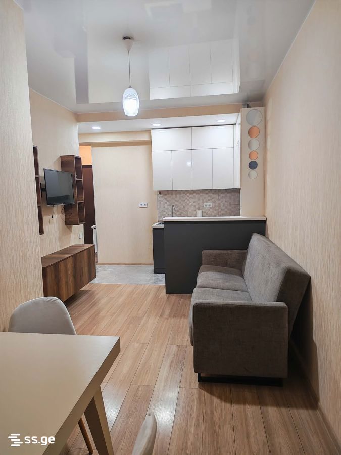 Fighters for the Unity of Georgia st. - 2 rooms
