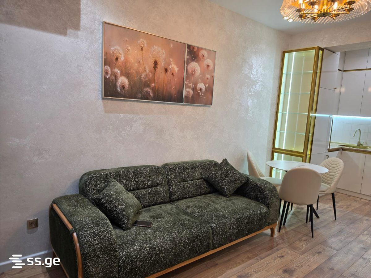 Abashidze-Orbeliani st. - 2 rooms