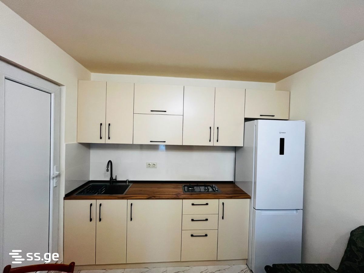 Bendukidze University Campus 53 - 2 rooms
