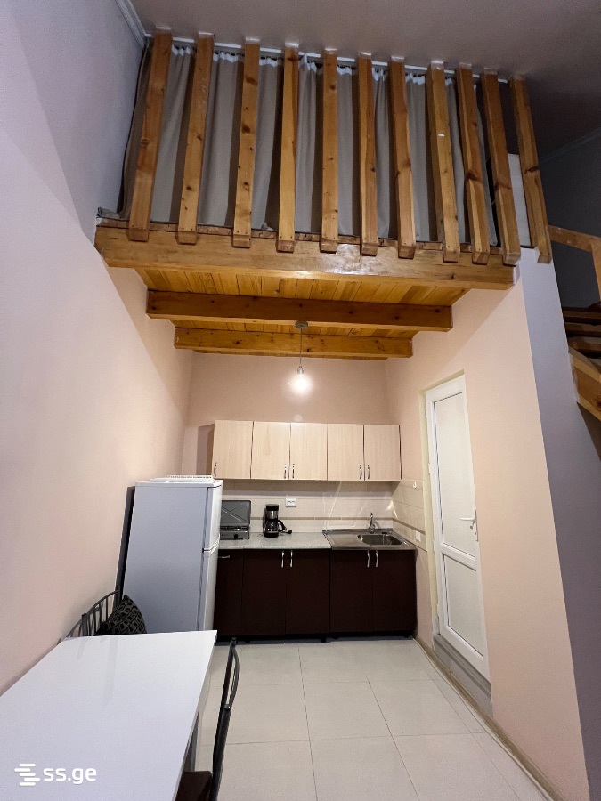 Bendukidze University Campus 46 - 2 rooms