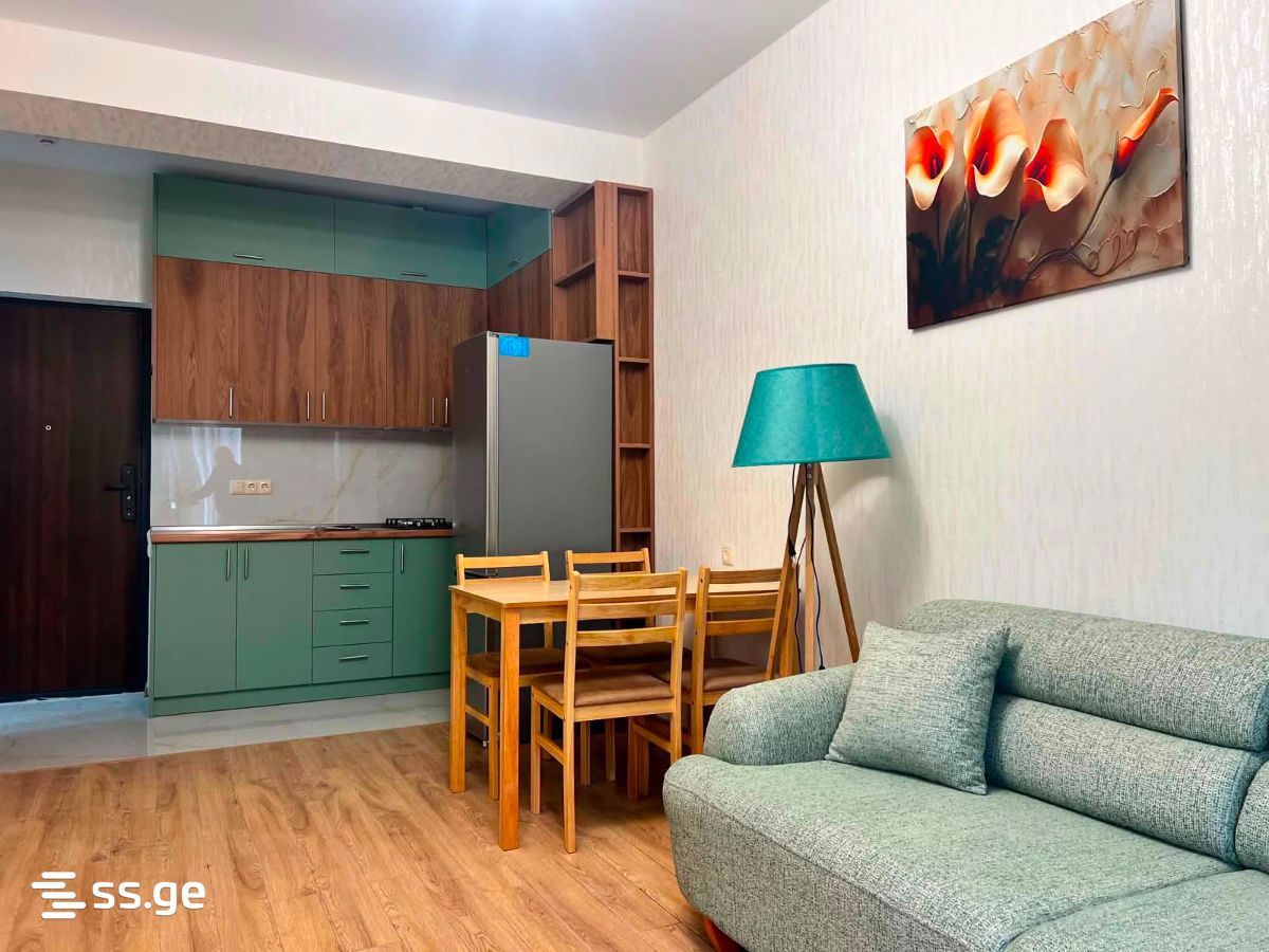 Abashidze-Orbeliani st. - 2 rooms